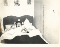 My adolescent self in bed with orange juice cans in hair and stuffed animals. Note rolled proscuitto in photo above (center).